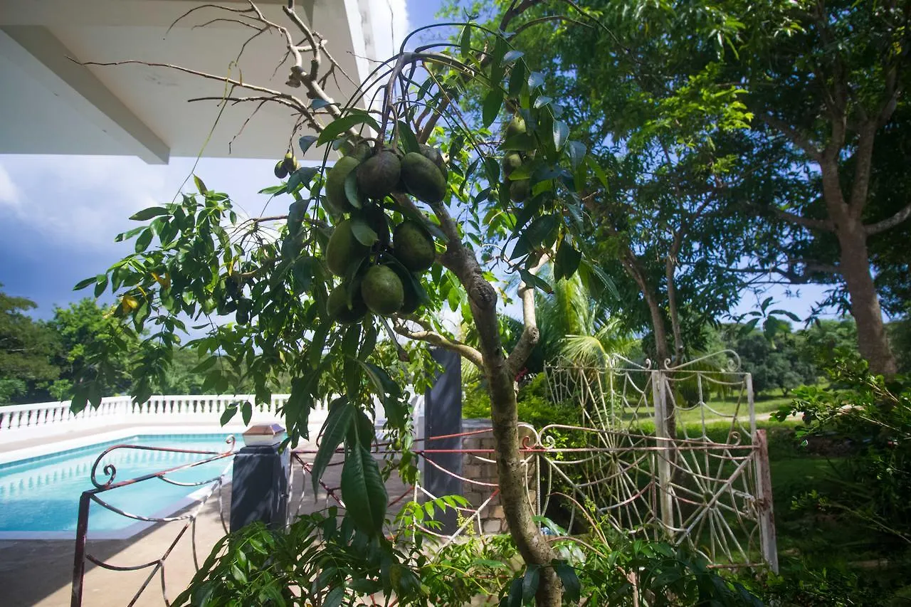 Rainbow Hill Villa Negril