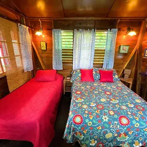 Hostal Judy House And, Negril